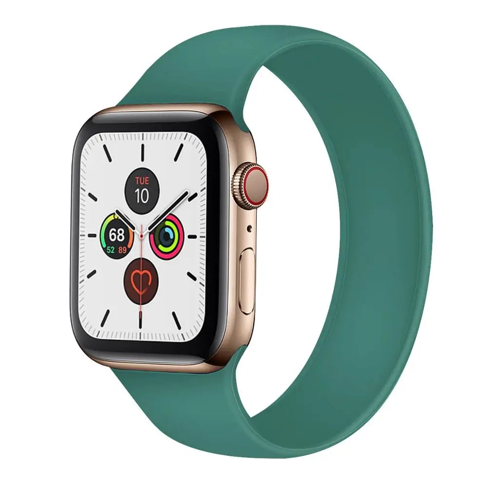 Apple Watch 5 Band